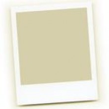 TOMTOM Etui ONE / XL