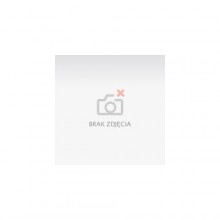 NavRoad RECO 5'' AM EU, 128MB RAM,BT,Internet,AV RECO AMEU