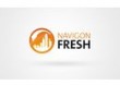 Navigon Easy / Premium / Life Aktualizacja